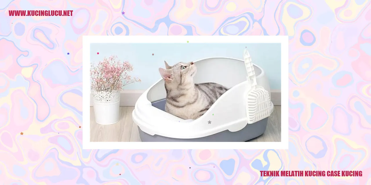 Gambar kucing sedang dilatih