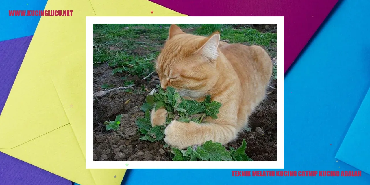 Gambar Kucing dengan Catnip