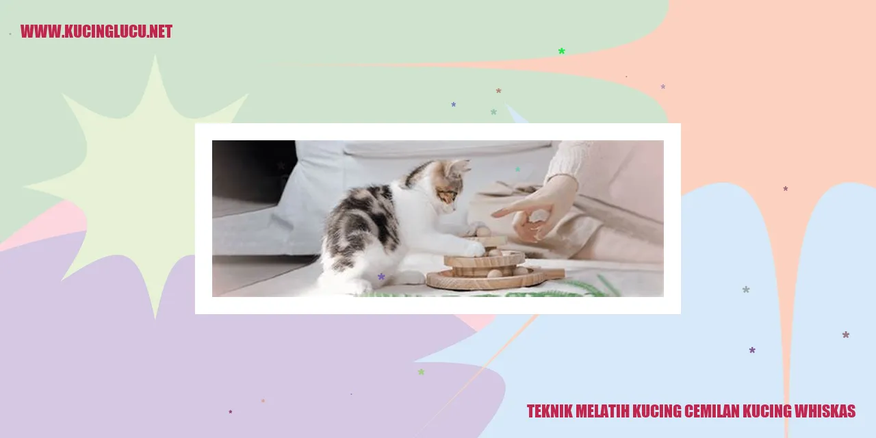 Kucing senang makan Whiskas