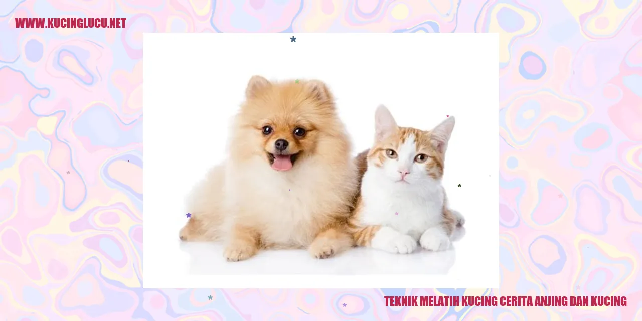 Kucing dan Anjing