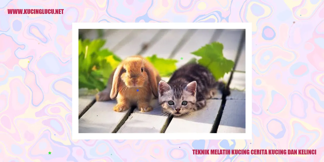 Gambar Kucing dan Kelinci