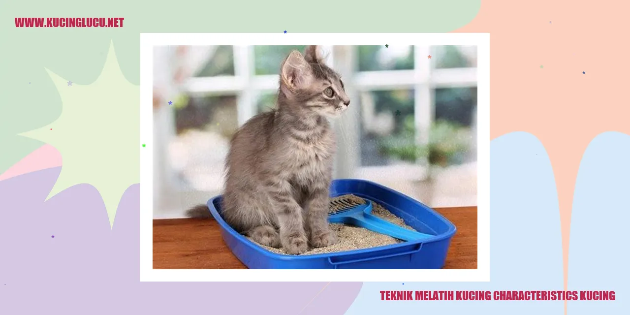 Kucing yang sedang dilatih