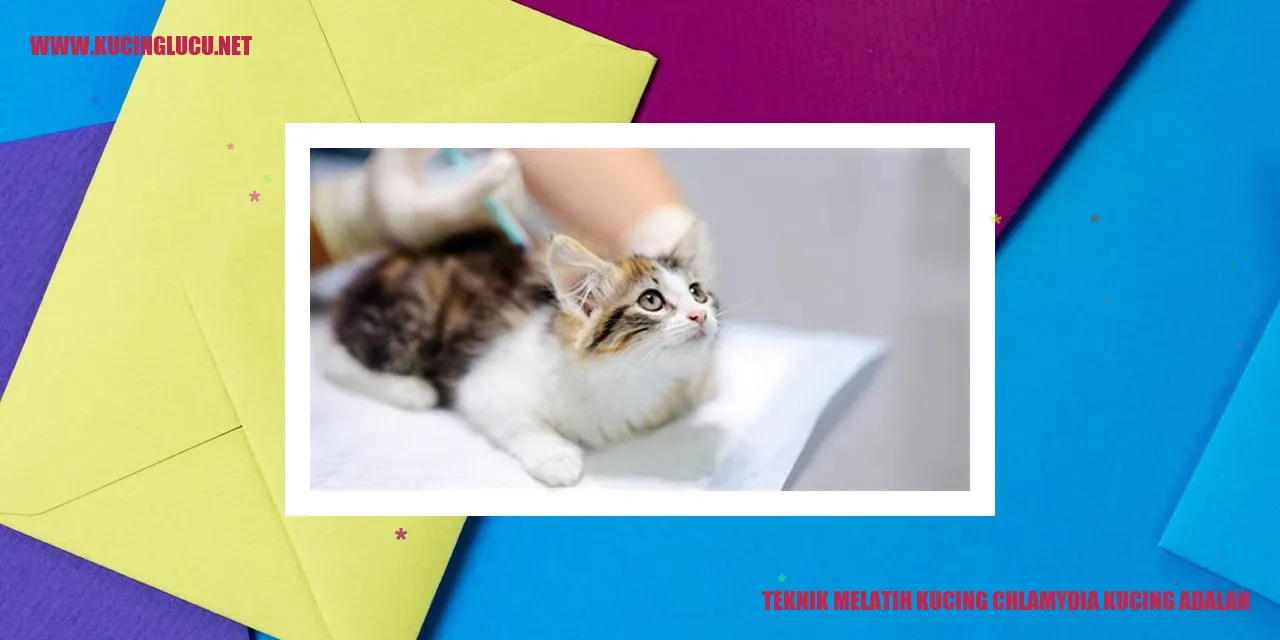 Ilustrasi Membina Kucing