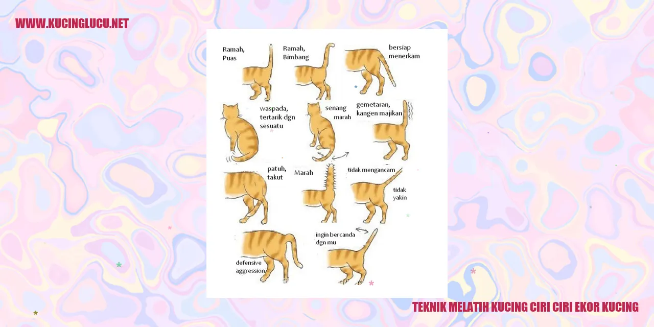 Gambar kucing menggemaskan