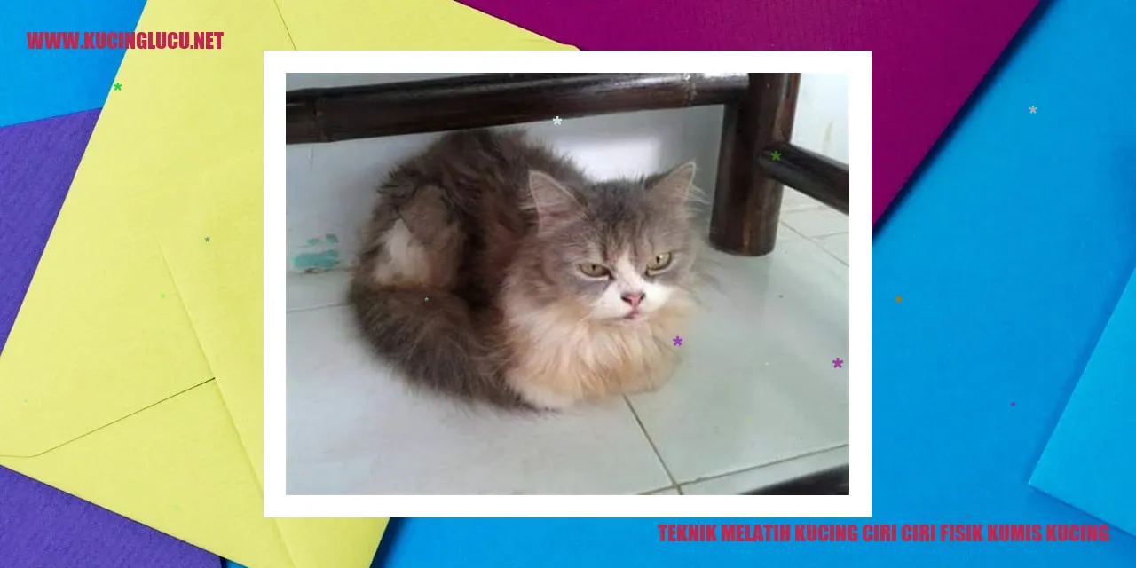Gambar kucing yang menggemaskan