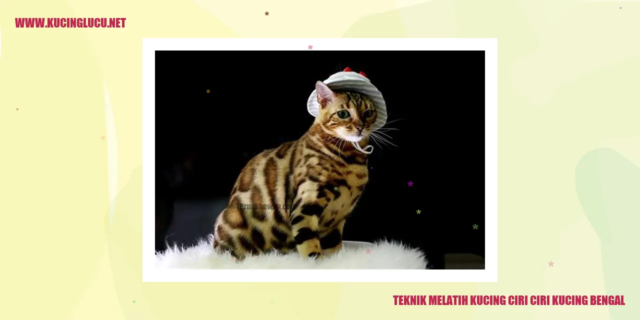 Gambar kucing bengal