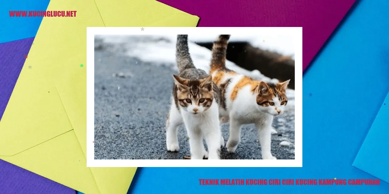 Kucing kampung campuran
