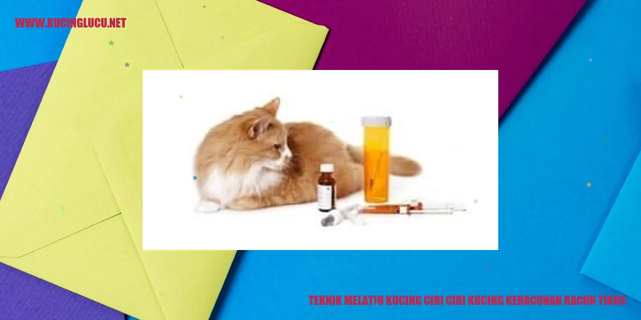 Gambar Kucing