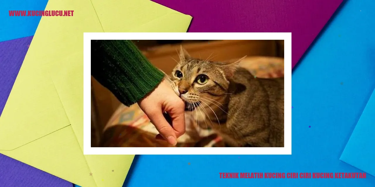 Teknik Melatih Kucing ciri ciri kucing ketakutan