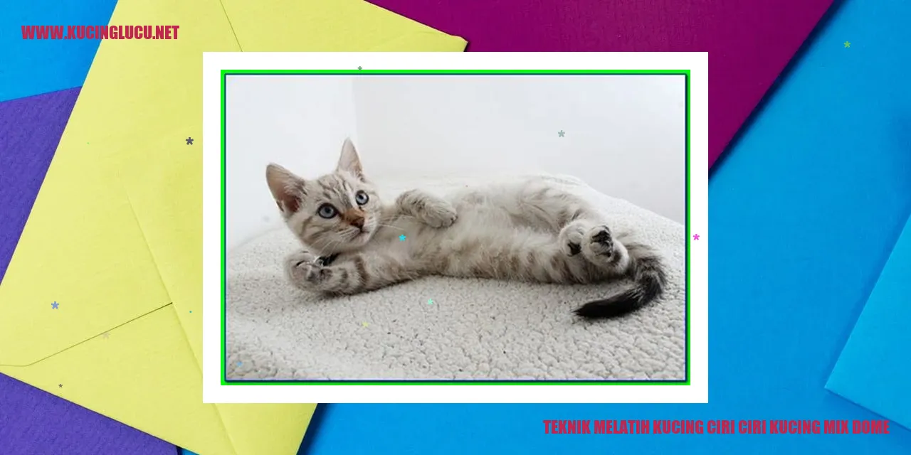 Kucing Mix Dome