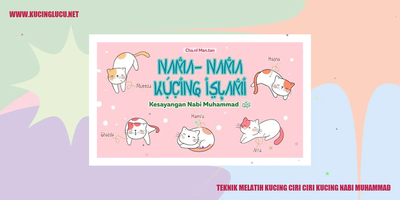 Gambar Kucing