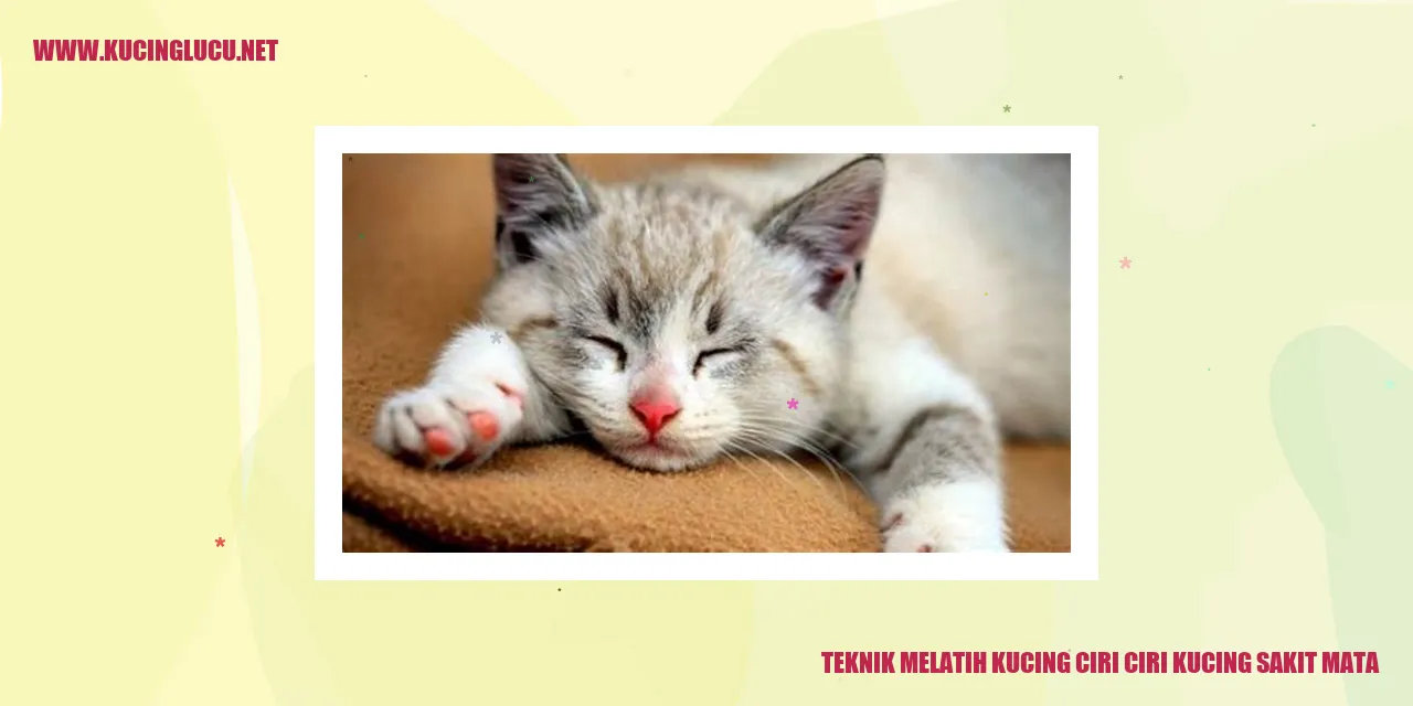 Teknik Melatih Kucing ciri ciri kucing sakit mata