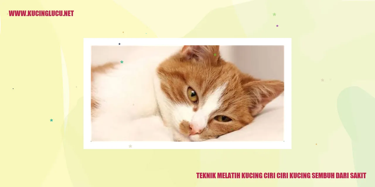 Kucing sehat