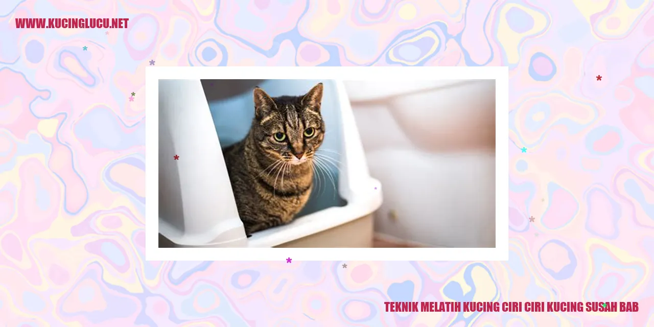 kondisi kucing yang sulit BAB