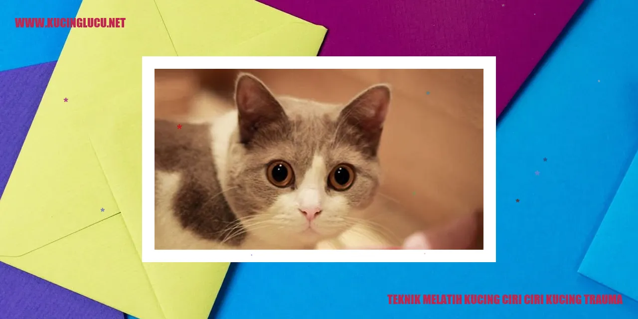 Teknik Melatih Kucing