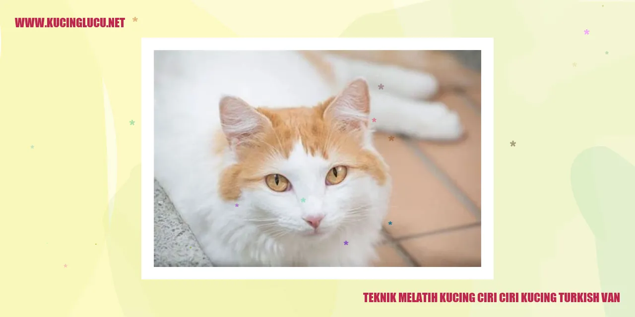Ciri-ciri Kucing Turkish Van