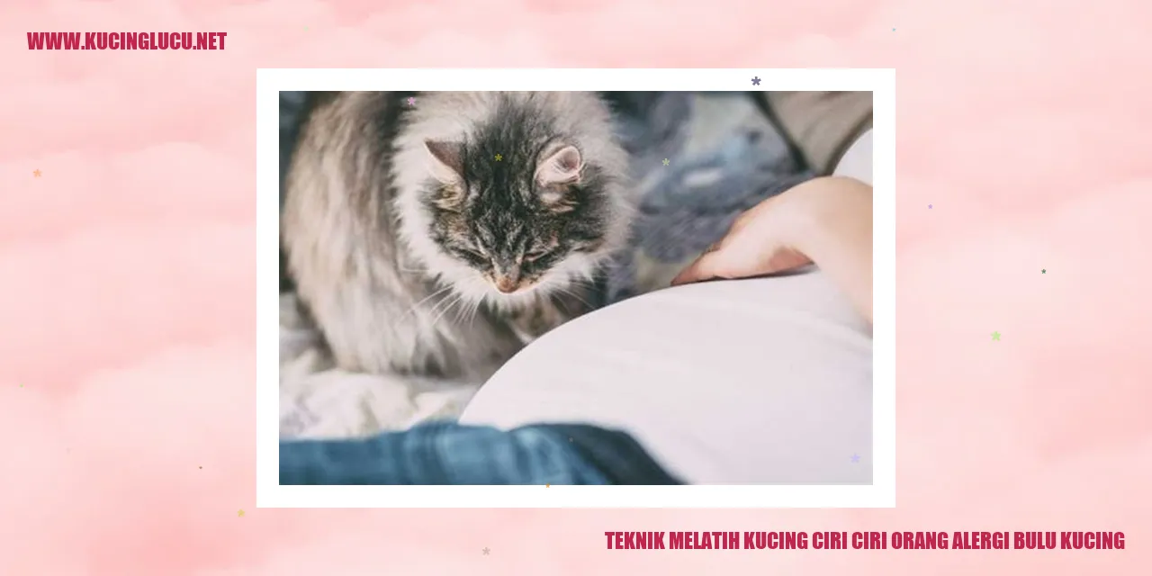 Kucing
