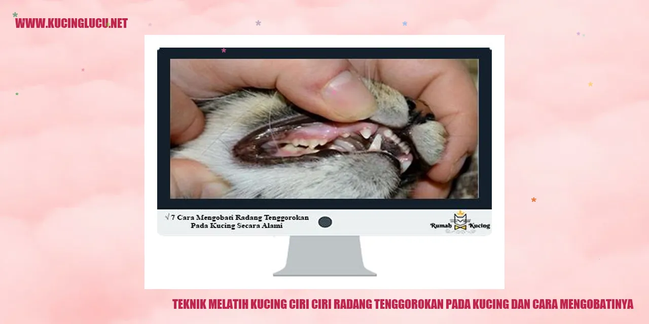 Kucing sedang menjalani sesi pelatihan
