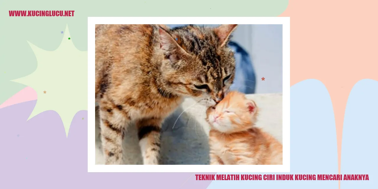 Kucing Induk Mencari Anaknya