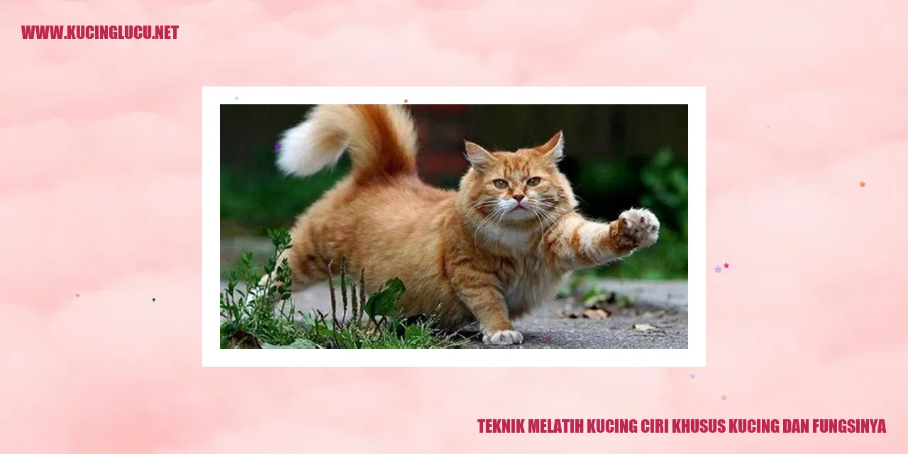 Gambar Kucing