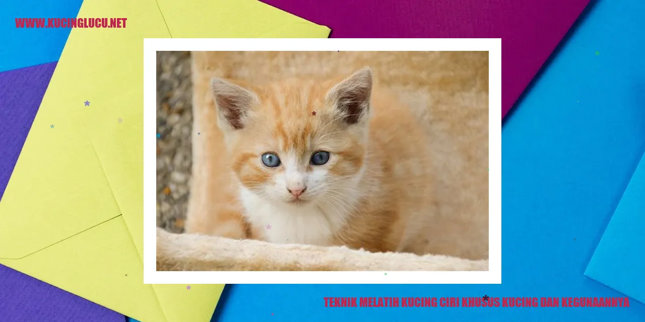 Gambar Teknik Melatih Kucing