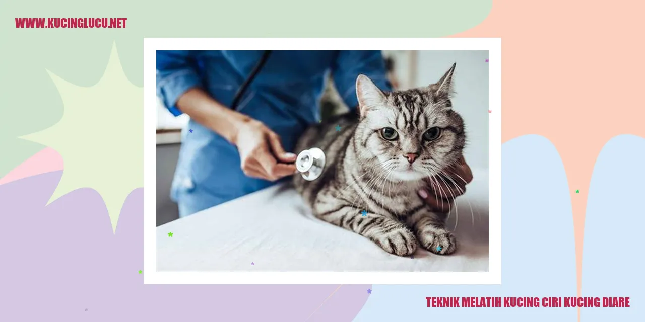 Kucing dengan diare
