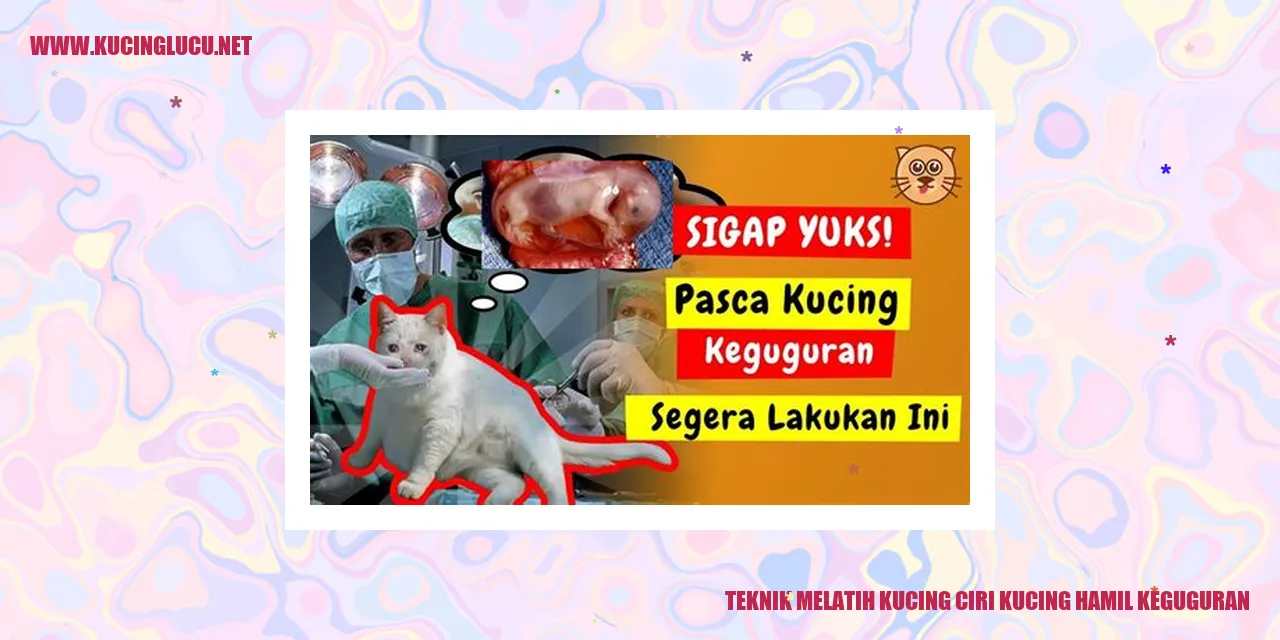 Teknik Melatih Kucing ciri kucing hamil keguguran