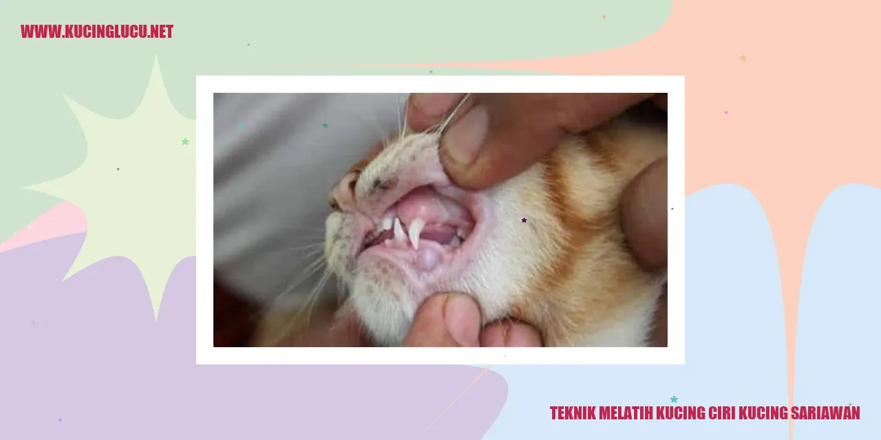 Gambar Kucing Sariawan