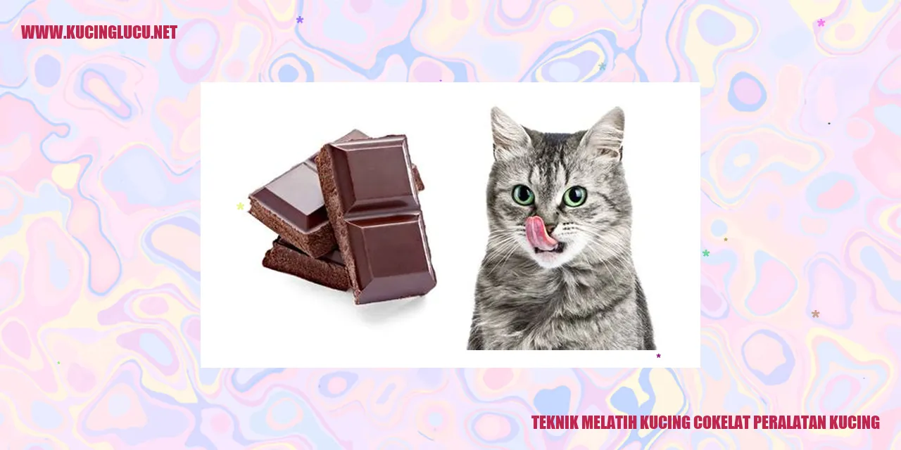 Kucing cokelat peralatan kucing