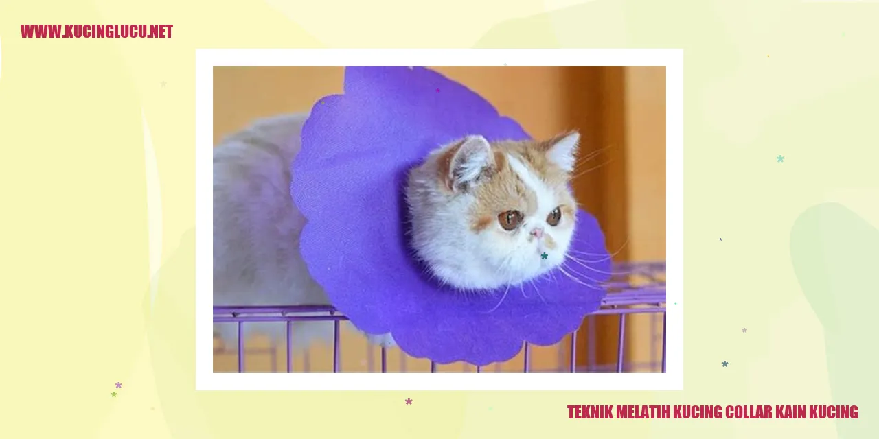 Melatih Kucing Menggunakan Tali Leher Kain