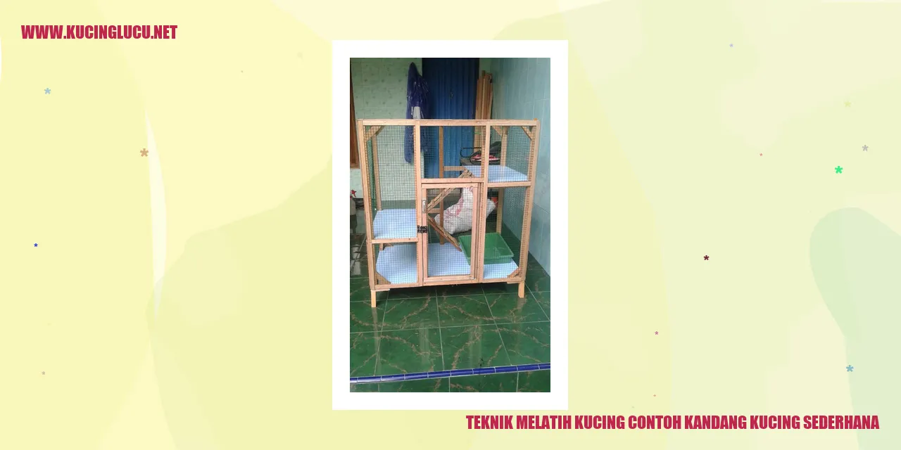 Kandang Kucing Sederhana