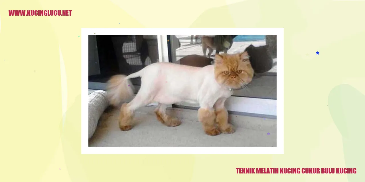 Mencukur Bulu Kucing