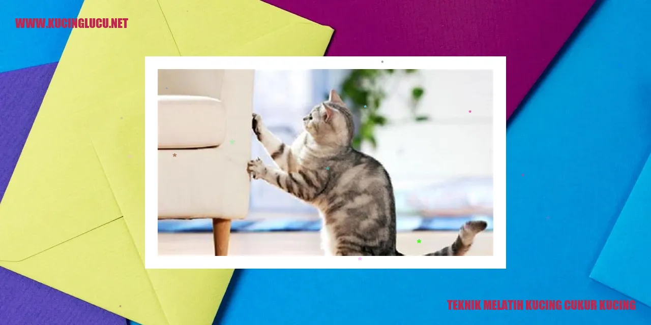 gambar kucing ber bulu pendek