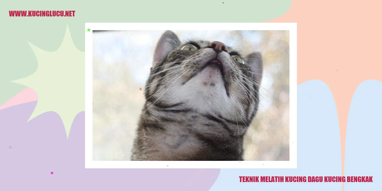 Gambar kucing sedang melatih dagu