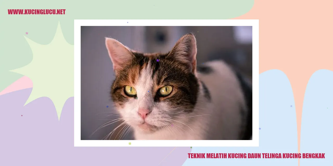 Kucing Mengalami Pembengkakan di Daun Telinga