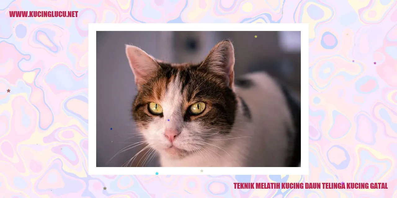 Gambar Kucing Daun Telinga Gatal