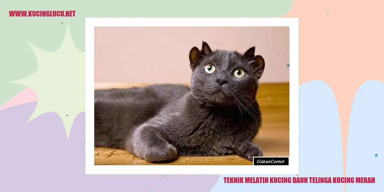 Kucing Daun Telinga Kucing Merah