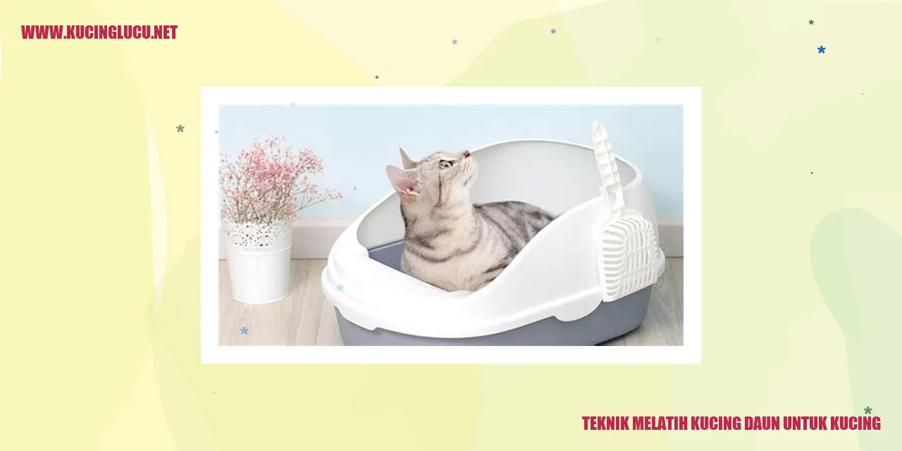 Teknik Melatih Kucing Daun untuk Kucing