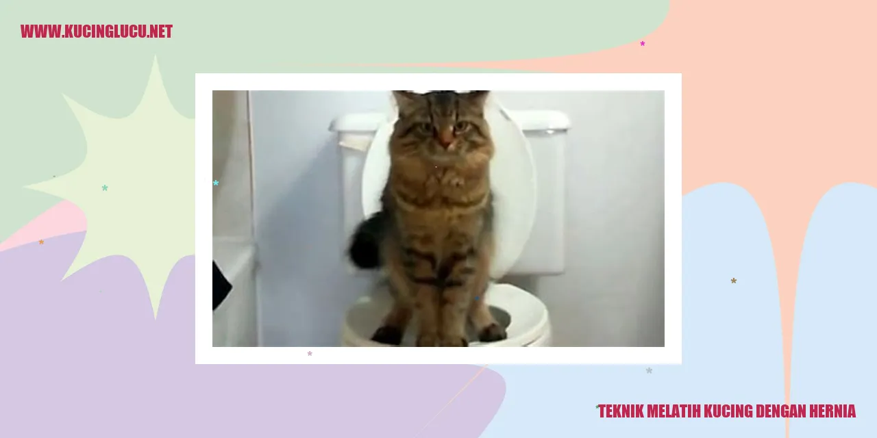 Ilustrasi Kucing Bermasalah Hernia