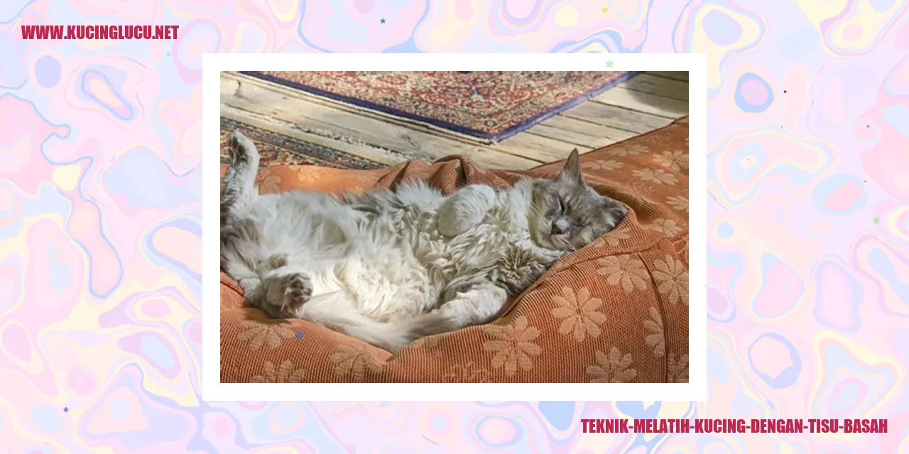 Gambar Kucing dan Tisu Basah