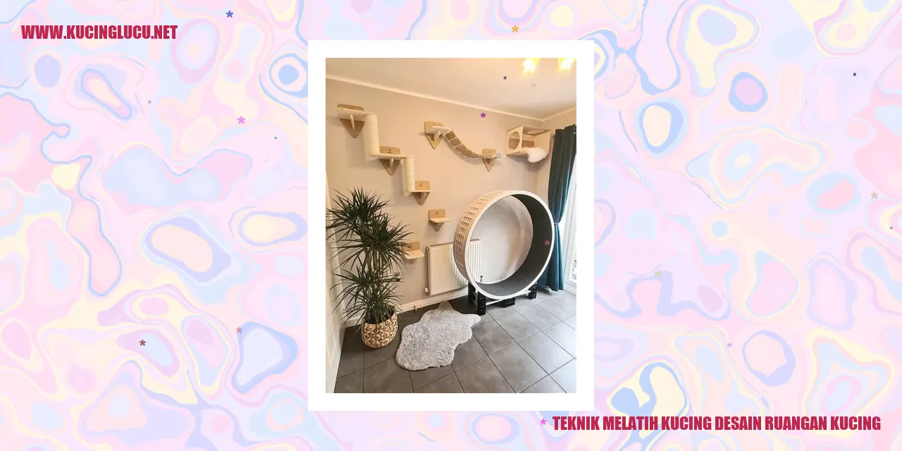 Gambar kucing betah di dalam ruangan yang nyaman