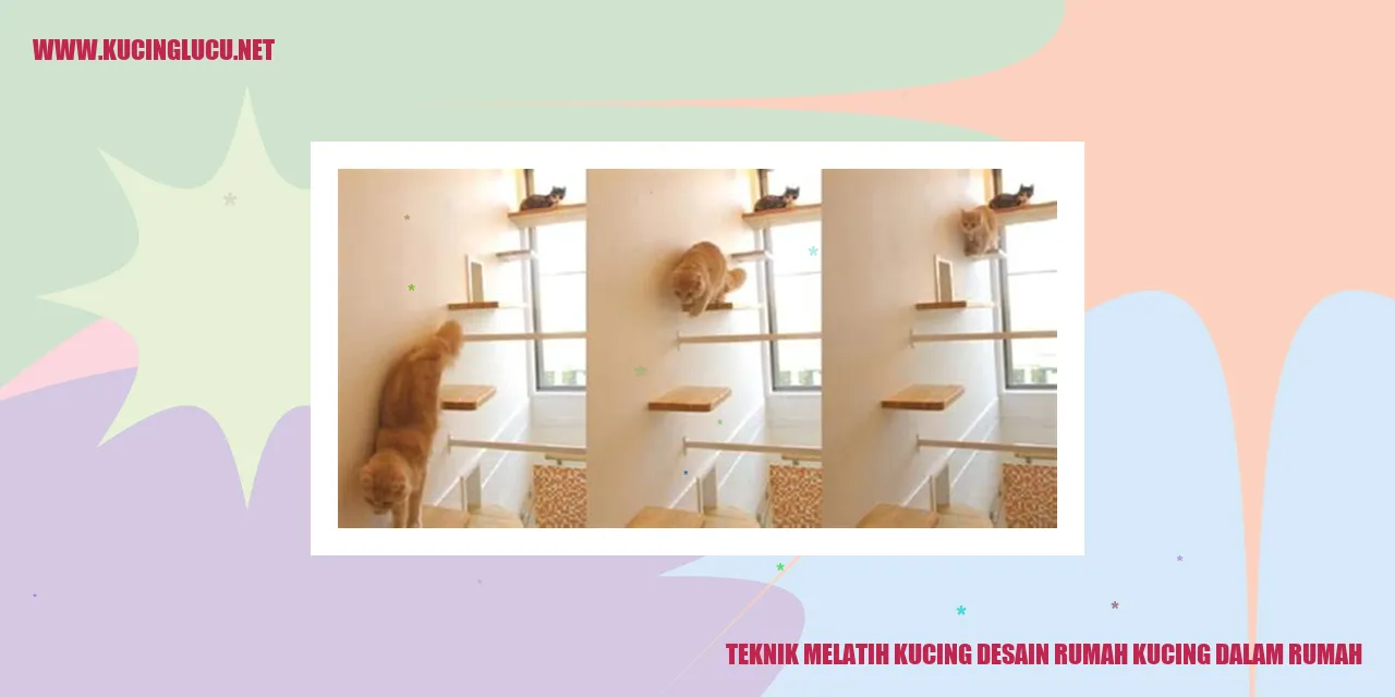 kucing dalam rumah