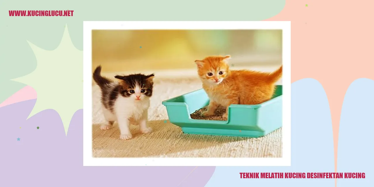 Teknik Melatih Kucing desinfektan kucing