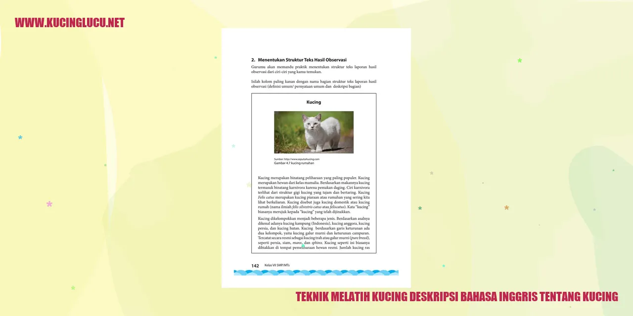 Kucing Mengikuti Instruksi