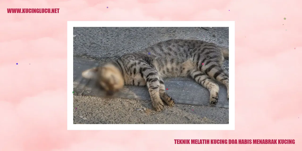 Ilustrasi Kucing