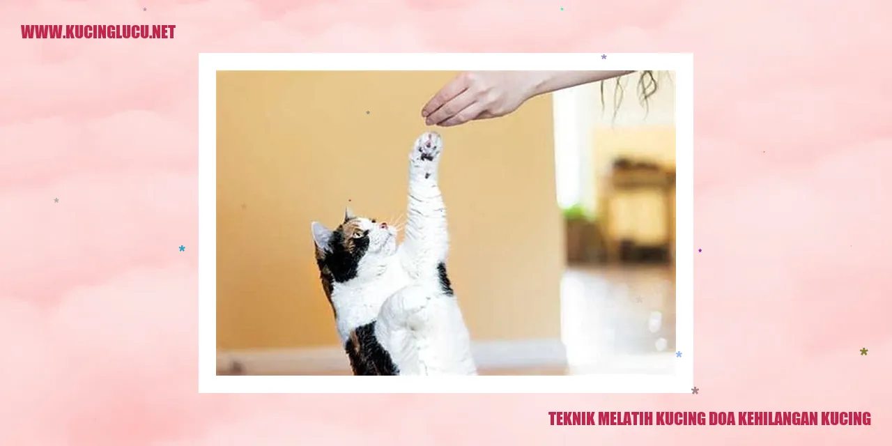 gambar kucing yang hilang