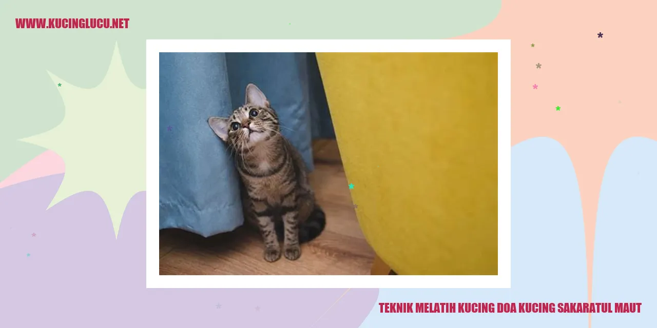 Gambar Kucing Sakaratul Maut