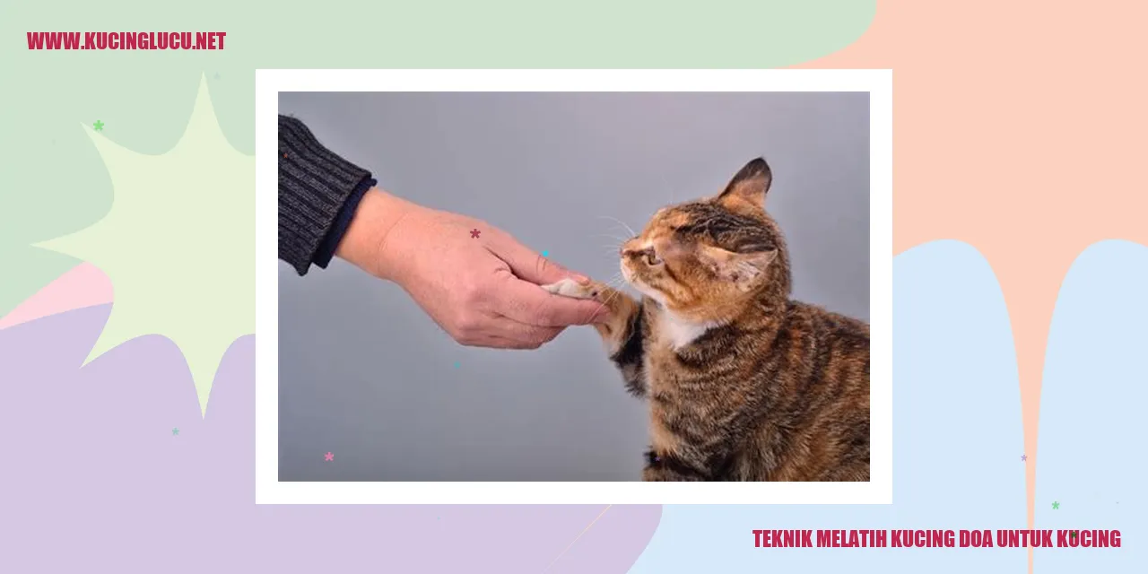 Gambar melatih kucing
