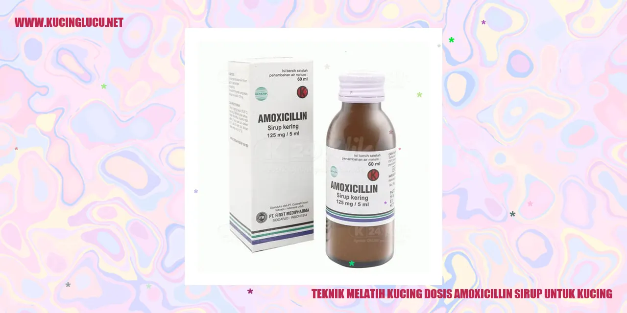 Teknik Melatih Kucing dosis amoxicillin sirup untuk kucing