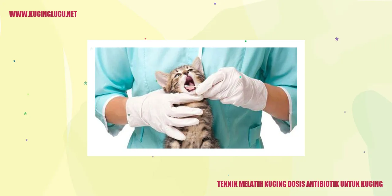 Kucing diberikan antibiotik